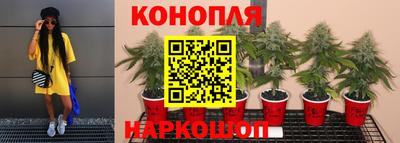 ГАЛЛЮЦИНОГЕННЫЕ ГРИБЫ Нарткала