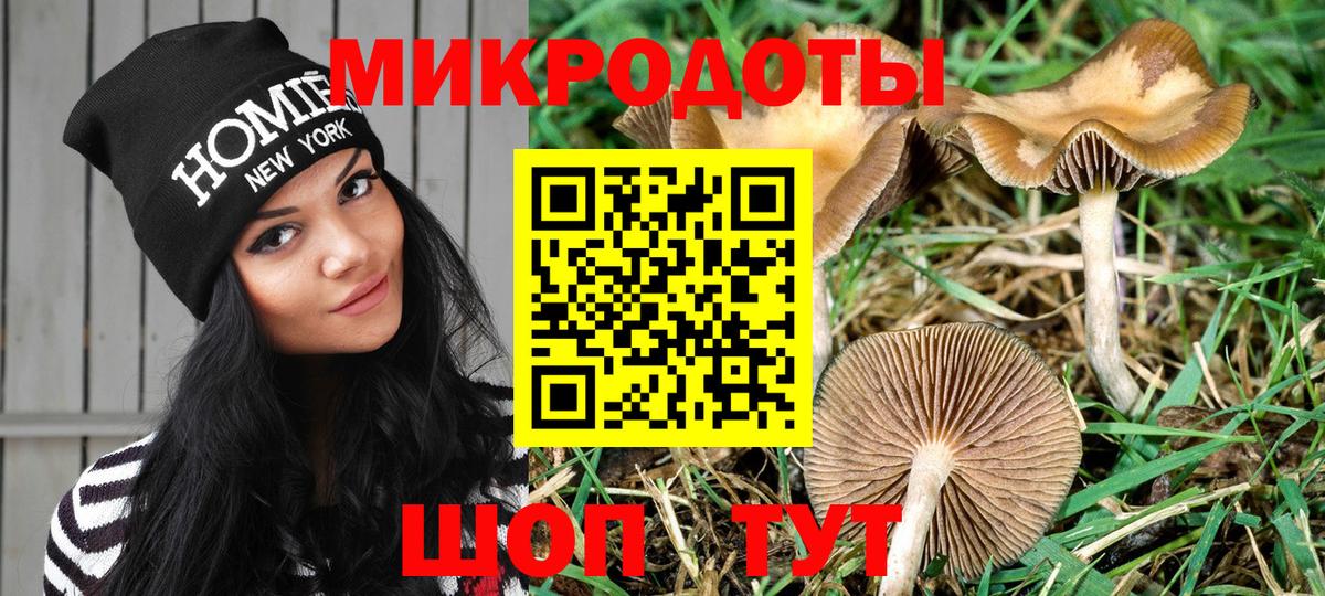 Галлюциногенные грибы мухоморы Воркута
