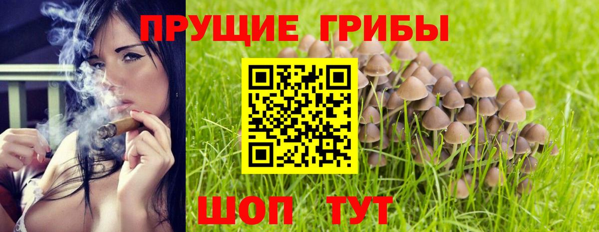 Воркута  Галлюциногенные грибы прущие грибы  Вход с VPN 